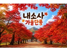 [수도권/충청권/경상권출발]★가을단풍★내소사 단풍&채석강(당일)