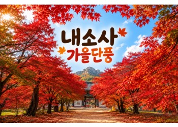 [수도권/충청권/경상권출발]★가을단풍★내소사 단풍&채석강(당일)