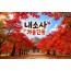 [수도권/충청권/경상권출발]★가을단풍★내소사 단풍&채석강(당일)