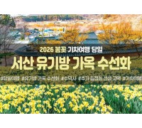 [경상권/호남권/충청권/수도권출발] 서산 유기방 가옥 수선화&예산 수덕사(당일)