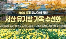 [경상권/호남권/충청권/수도권출발] 서산 유기방 가옥 수선화&예산 수덕사(당일)