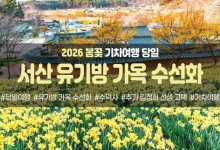 [경상권/호남권/충청권/수도권출발] 서산 유기방 가옥 수선화&예산 수덕사(당일)