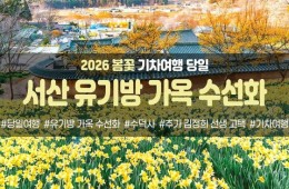 [경상권/호남권/충청권/수도권출발] 서산 유기방 가옥 수선화&예산 수덕사(당일)