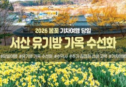 [경상권/호남권/충청권/수도권출발] 서산 유기방 가옥 수선화&예산 수덕사(당일)