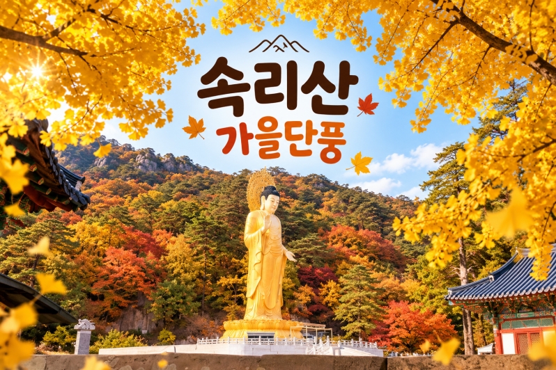[수도권/충청권/경상권출발] ★가을단풍★속리산 법주사&세조길(당일)
