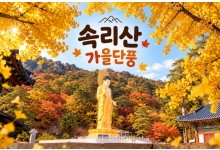 [수도권/충청권/경상권출발] ★가을단풍★속리산 법주사&세조길(당일)