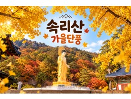 [수도권/충청권/경상권출발] ★가을단풍★속리산 법주사&세조길(당일)