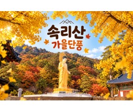 [수도권/충청권/경상권출발] ★가을단풍★속리산 법주사&세조길(당일)