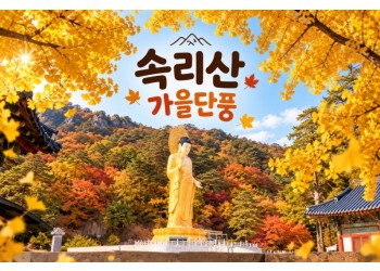 [수도권/충청권/경상권출발] ★가을단풍★속리산 법주사&세조길(당일)