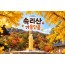 [수도권/충청권/경상권출발] ★가을단풍★속리산 법주사&세조길(당일)