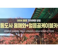 ★봄꽃★통도사 홍매화&영남 알프스 얼음골 케이블카(당일)
