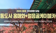 ★봄꽃★통도사 홍매화&영남 알프스 얼음골 케이블카(당일)