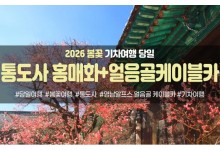 ★봄꽃★통도사 홍매화&영남 알프스 얼음골 케이블카(당일)