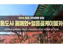 ★봄꽃★통도사 홍매화&영남 알프스 얼음골 케이블카(당일)