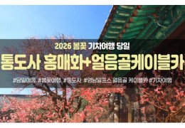 ★봄꽃★통도사 홍매화&영남 알프스 얼음골 케이블카(당일)