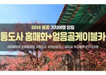 ★봄꽃★통도사 홍매화&영남 알프스 얼음골 케이블카(당일)