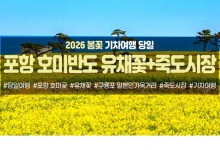 [수도권/충청권/경산권출발] 포항 호미반도 유채꽃&죽도시장(당일)