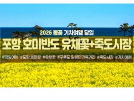[수도권/충청권/경산권출발] 포항 호미반도 유채꽃&죽도시장(당일)