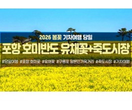 [수도권/충청권/경산권출발] 포항 호미반도 유채꽃&죽도시장(당일)