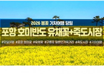 [수도권/충청권/경산권출발] 포항 호미반도 유채꽃&죽도시장(당일)