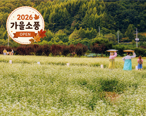 [KTX-당일]평창시티투어♬ 월정사+발왕산 케이블카+올림픽플라자