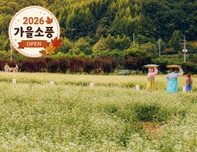[KTX-당일]평창시티투어♬ 월정사+발왕산 케이블카+올림픽플라자