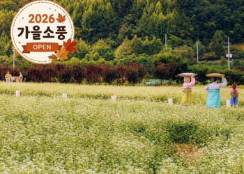 [KTX-당일]평창시티투어♬ 월정사+발왕산 케이블카+올림픽플라자