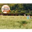 [KTX-당일]평창시티투어♬ 월정사+발왕산 케이블카+올림픽플라자