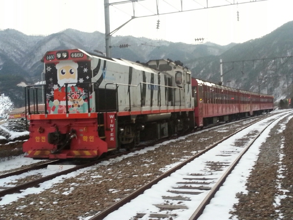 [특별열차] 백두대간협곡열차 & 환상선(승부) & 분천 산타마을 & 태백산 눈꽃 여행(당일)