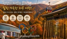 KTX서울역/청량리역출발] 한명도 OK! 10월~11월 평창 가을 단풍 힐링 여행