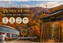 KTX서울역/청량리역출발] 한명도 OK! 10월~11월 평창 가을 단풍 힐링 여행