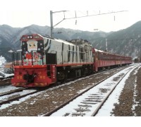 [특별열차] 백두대간협곡열차 & 환상선(승부) & 분천 산타마을 & 태백산 눈꽃 여행(당일)