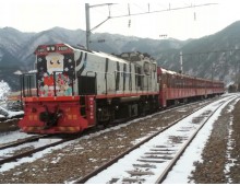 [특별열차] 백두대간협곡열차 & 환상선(승부) & 분천 산타마을 & 태백산 눈꽃 여행(당일)