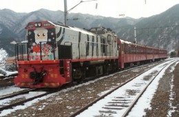 [특별열차] 백두대간협곡열차 & 환상선(승부) & 분천 산타마을 & 태백산 눈꽃 여행(당일)