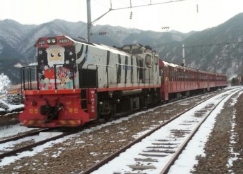 [특별열차] 백두대간협곡열차 & 환상선(승부) & 분천 산타마을 & 태백산 눈꽃 여행(당일)