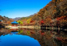 ◆가을맞이◆[수서출발-당일]조선8경 오색단풍명소 일번지, 내장산