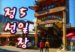 [KTX-당일]정선5일장 같이 가자! 아리랑시장+화암동굴+월정사