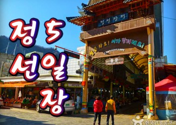 [KTX-당일]정선5일장 같이 가자! 아리랑시장+화암동굴+월정사