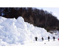 2026 태백 눈축제&당골 트래킹 당일-왕복 무궁화 (1/31~2/8, 9일간)