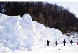 2026 태백 눈축제&당골 트래킹 당일-왕복 무궁화 (1/31~2/8, 9일간)