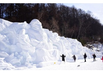 2026 태백 눈축제&당골 트래킹 당일-왕복 무궁화 (1/31~2/8, 9일간)
