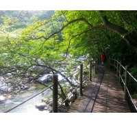 [KTX 당일] 지리산 뱀사골&지리산 흑돼지구이+남원 광한루&추어탕 (당일)