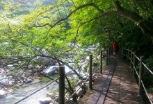 [KTX 당일] 지리산 뱀사골&지리산 흑돼지구이+남원 광한루&추어탕 (당일)