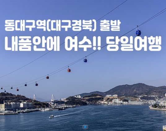 [동대구역/밀양역출발] 여수 알짜베기 당일투어!! (요트세일링~수산시장~해상케이블카~오동도)