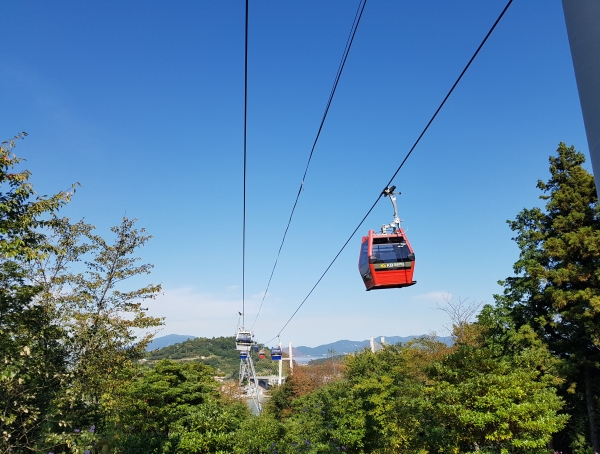 [제천역출발] 여수 알짜베기 당일투어!! (요트세일링~수산시장~해상케이블카~오동도)
