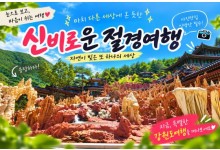 [1박2일/관광열차] 동굴에서 바다까지, 삼척&동해&강릉 빠르게 담기