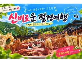 [1박2일/관광열차] 동굴에서 바다까지, 삼척&동해&강릉 빠르게 담기