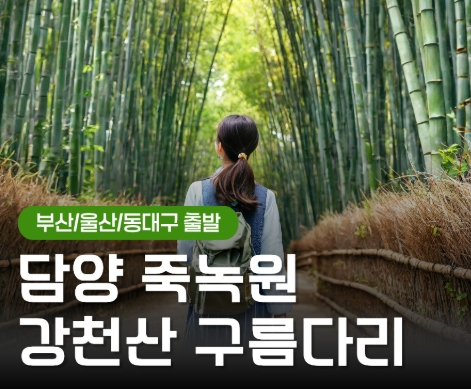 [KTX동대구역/울산역/부산역] 담양 죽녹원&메타세콰이어&강천산 구름다리 당일 기차여행-중식제공