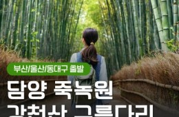 [KTX동대구역/울산역/부산역] 담양 죽녹원&메타세콰이어&강천산 구름다리 당일 기차여행-중식제공