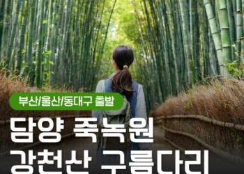[KTX동대구역/울산역/부산역] 담양 죽녹원&메타세콰이어&강천산 구름다리 당일 기차여행-중식제공